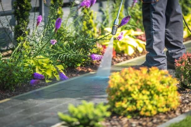 Best Animal Enclosure Cleaning  in Nipomo, CA