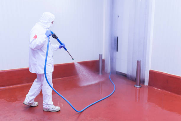 Best Graffiti Removal  in Nipomo, CA