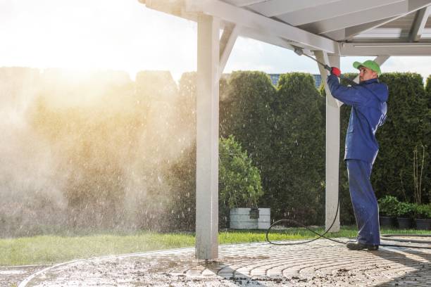 Best Gutter Cleaning  in Nipomo, CA